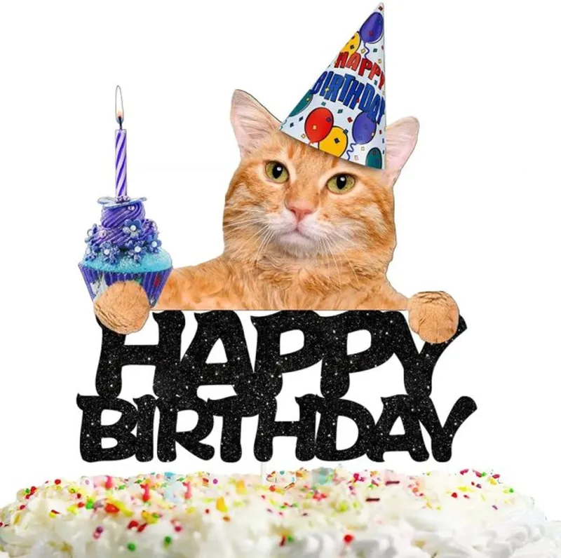 Happy birthday meme chúc mừng sinh nhật là lựa chọn thú vị Happy birthday meme chúc mừng sinh nhật là lựa chọn thú vị