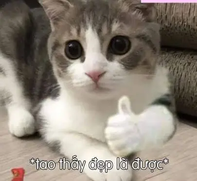 Thả like meme là cách thú vị để thể hiện sự yêu thích Thả like meme là cách thú vị để thể hiện sự yêu thích