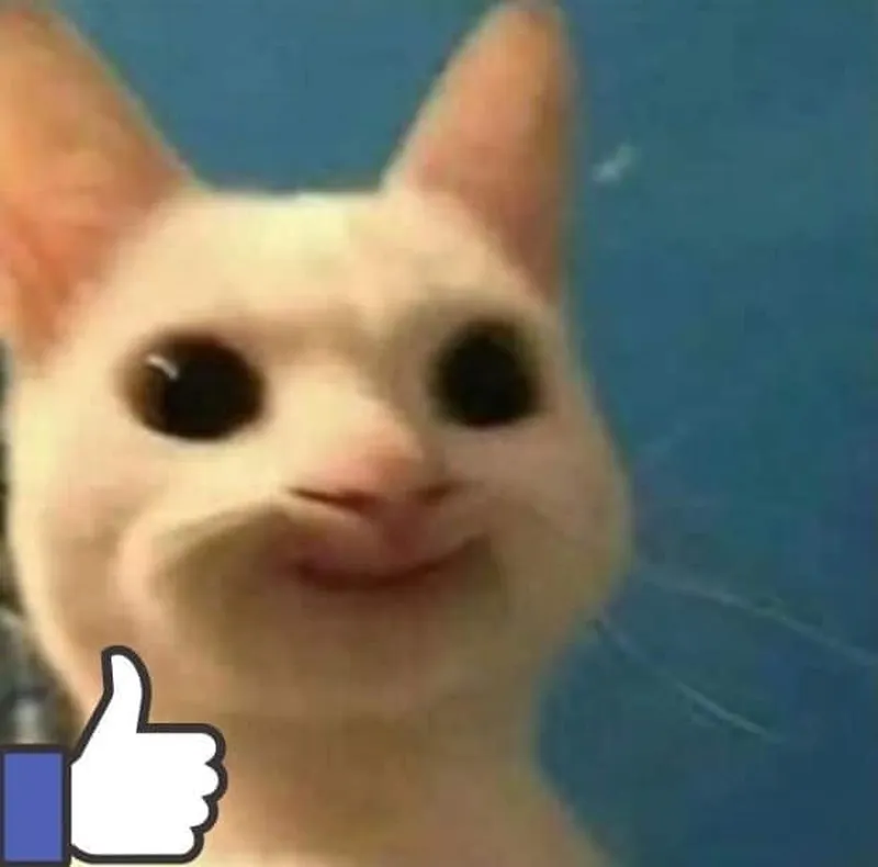 Treat me like white tees meme là cách thể hiện sự sáng tạo Treat me like white tees meme là cách thể hiện sự sáng tạo