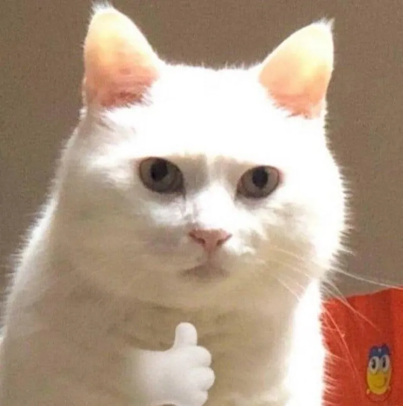 Thích meme là cách thể hiện sự yêu thích một cách hài hước Thích meme là cách thể hiện sự yêu thích một cách hài hước