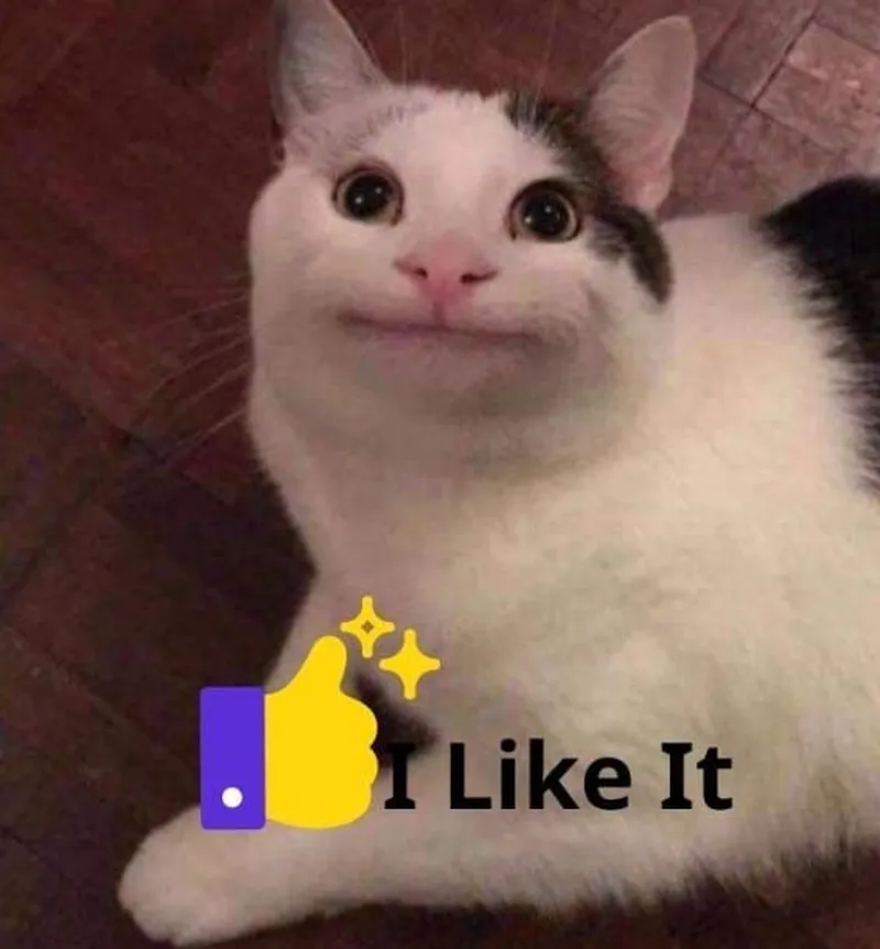 Meme belike mang đến những tình huống hài hước trong cuộc sống Meme belike mang đến những tình huống hài hước trong cuộc sống