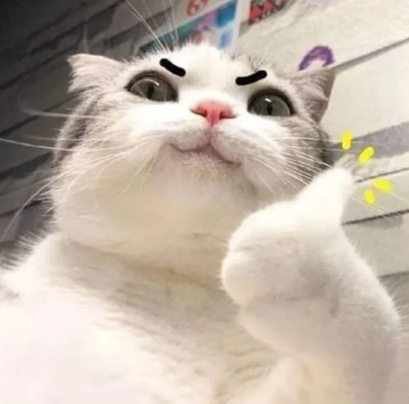 Anh nghe em giải thích meme luôn khiến người xem thích thú Anh nghe em giải thích meme luôn khiến người xem thích thú