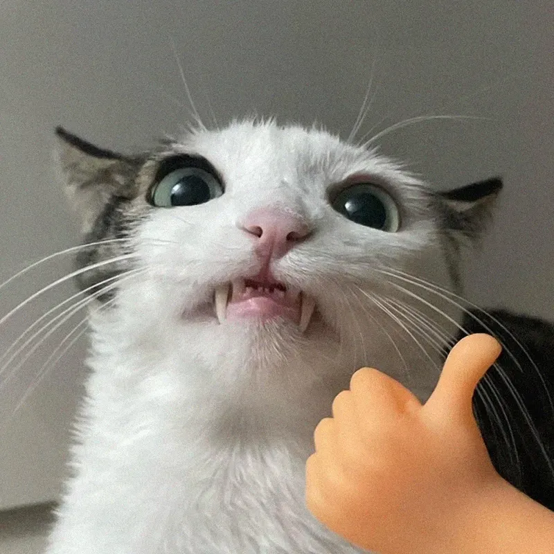 Hình ảnh like meme tạo ra không khí vui tươi cho người xem Hình ảnh like meme tạo ra không khí vui tươi cho người xem
