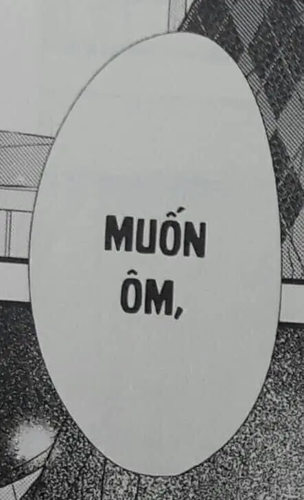 Meme mèo con ôm đầu là hình ảnh đáng yêu cho fan yêu thích Meme mèo con ôm đầu là hình ảnh đáng yêu cho fan yêu thích