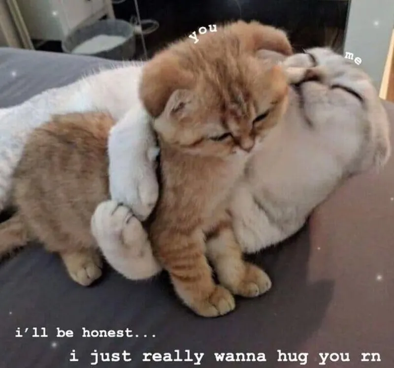 Meme anh da đen ôm đầu bất ngờ tạo ra những tình huống hài hước Meme anh da đen ôm đầu bất ngờ tạo ra những tình huống hài hước