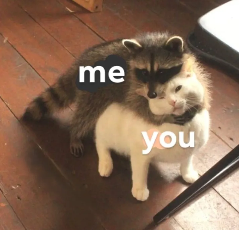 Bất ngờ meme anh da đen ôm đầu hoảng hốt khiến người xem cảm thấy thú vị Bất ngờ meme anh da đen ôm đầu hoảng hốt khiến người xem cảm thấy thú vị