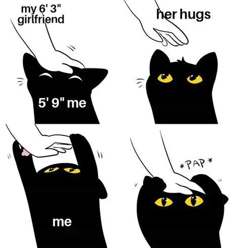 Meme mèo ôm đầu khóc thể hiện sự đồng cảm và hài hước Meme mèo ôm đầu khóc thể hiện sự đồng cảm và hài hước