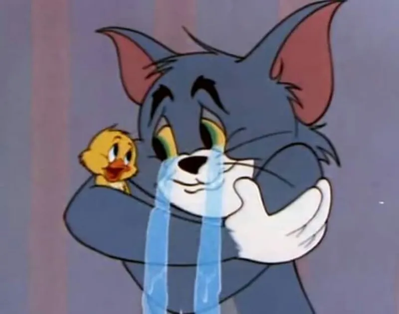 Meme mèo dang tay ôm mang đến sự dễ thương cho người xem Meme mèo dang tay ôm mang đến sự dễ thương cho người xem
