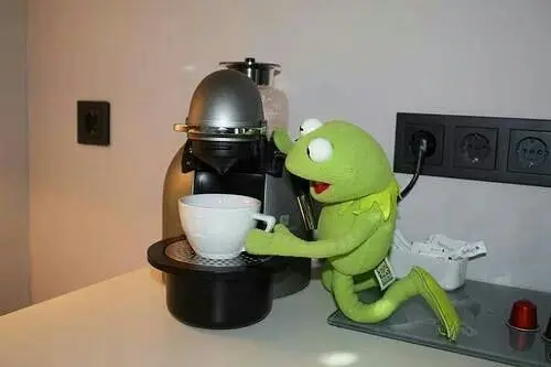 Meme con mèo nhếch lông mày tạo nên sự kết hợp thú vị Meme con mèo nhếch lông mày tạo nên sự kết hợp thú vị