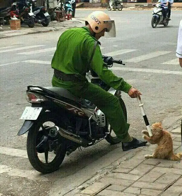 Hình ảnh công an meme mang lại tiếng cười cho mọi người Hình ảnh công an meme mang lại tiếng cười cho mọi người