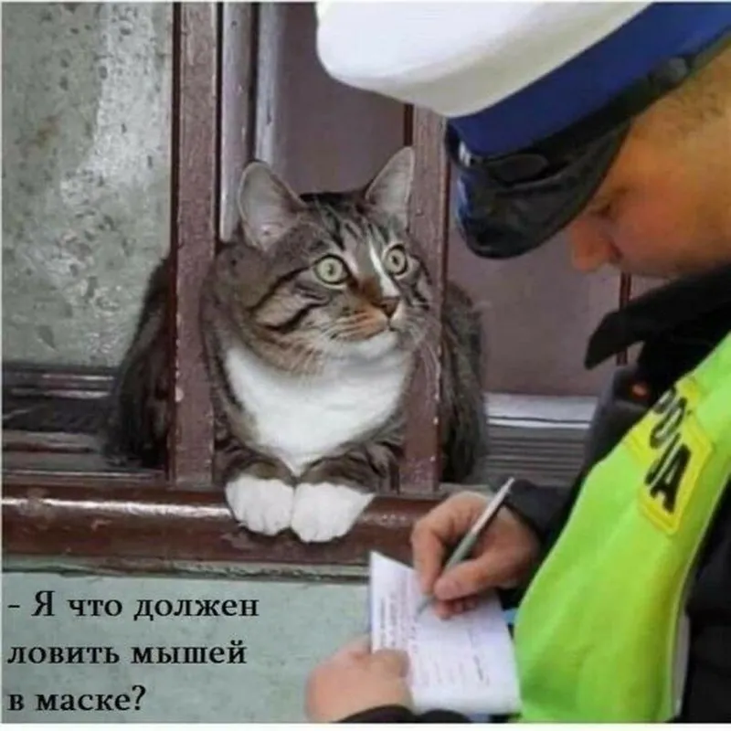 Meme công an hài hước cho những ai yêu thích châm biếm Meme công an hài hước cho những ai yêu thích châm biếm