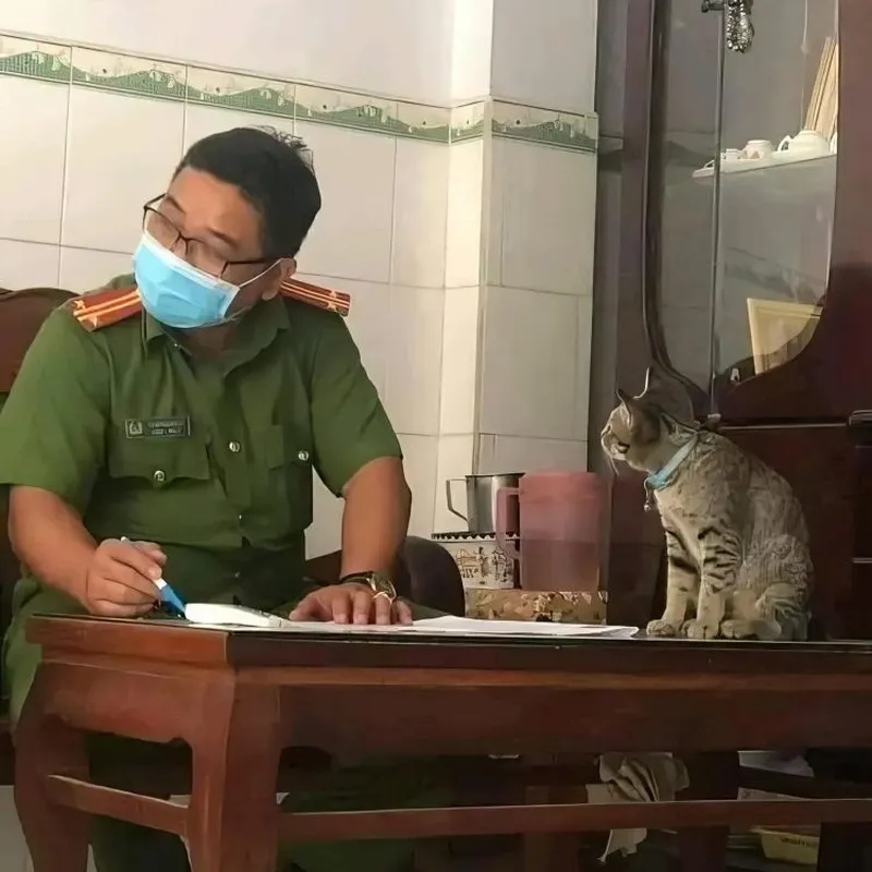 Meme công an vui khiến mọi người cười không ngớt Meme công an vui khiến mọi người cười không ngớt