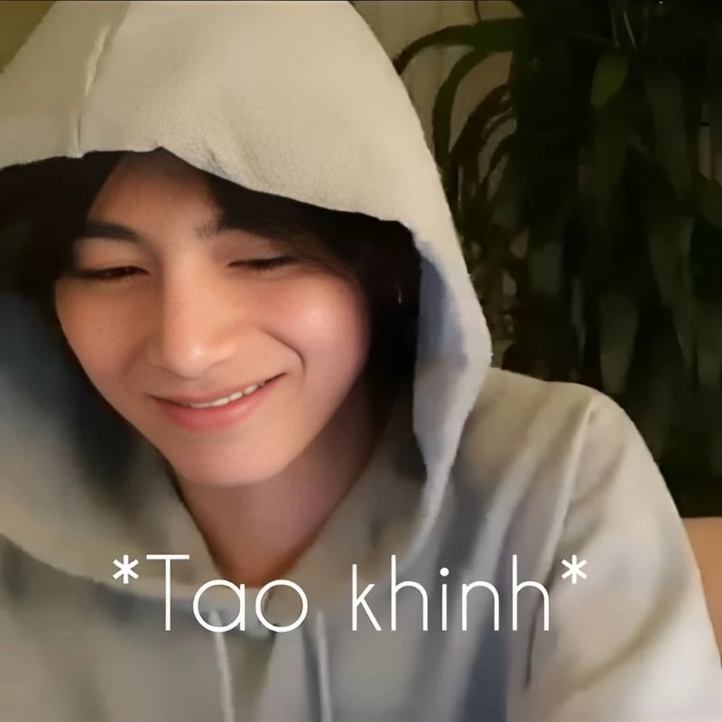 Ảnh mèo cười meme giúp bạn thư giãn và cười thoải mái Ảnh mèo cười meme giúp bạn thư giãn và cười thoải mái