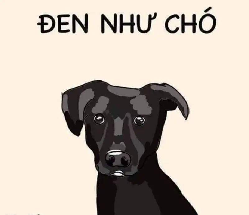 Meme cute mèo xin lỗi giúp bạn gửi lời xin lỗi dễ thương Meme cute mèo xin lỗi giúp bạn gửi lời xin lỗi dễ thương