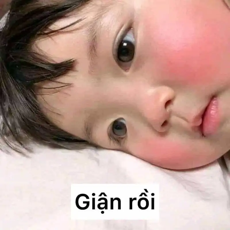 Meme avatar bựa cute mang lại tiếng cười cho mọi người Meme avatar bựa cute mang lại tiếng cười cho mọi người