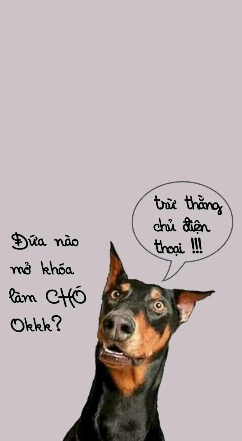 Meme ảnh em bé cute có chữ dễ thương cho những ai yêu thích Meme ảnh em bé cute có chữ dễ thương cho những ai yêu thích