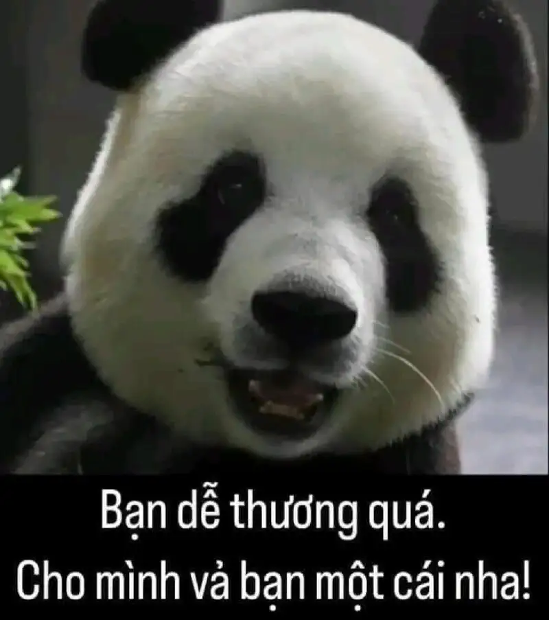 Mặt cười icon ảnh meme cute giúp bạn thư giãn Mặt cười icon ảnh meme cute giúp bạn thư giãn