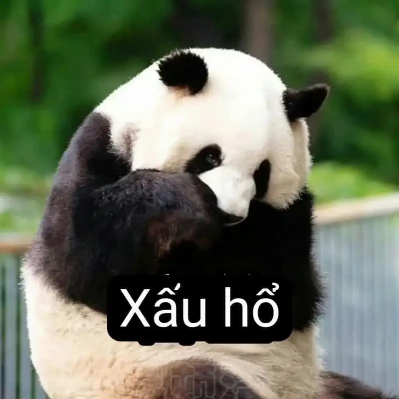 Người que cute ảnh meme hài giúp bạn thể hiện sự hài hước Người que cute ảnh meme hài giúp bạn thể hiện sự hài hước