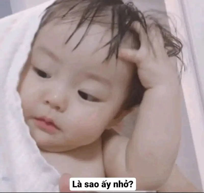 Meme xin lỗi cute giúp bạn gửi lời xin lỗi dễ thương Meme xin lỗi cute giúp bạn gửi lời xin lỗi dễ thương