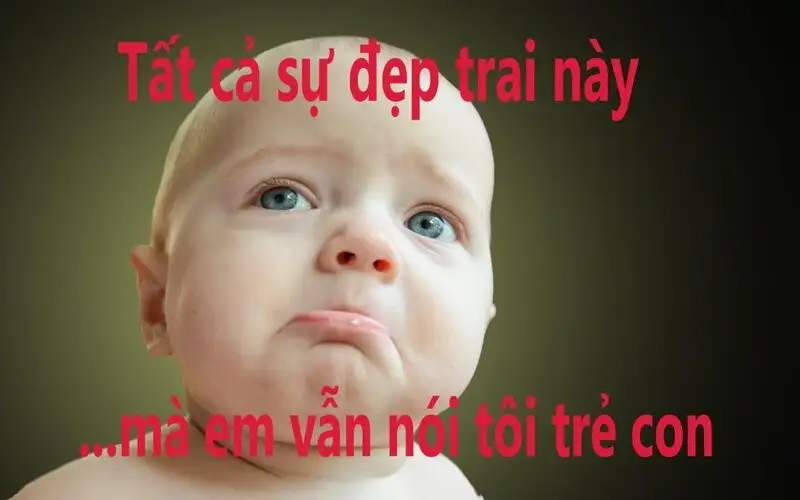 Ảnh chó meme cute dễ thương cho những ai yêu thích Ảnh chó meme cute dễ thương cho những ai yêu thích