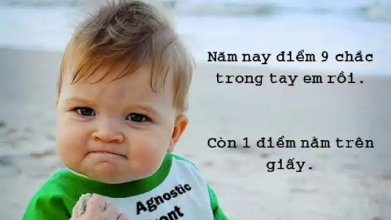 Chó cute meme mang lại tiếng cười cho mọi người Chó cute meme mang lại tiếng cười cho mọi người