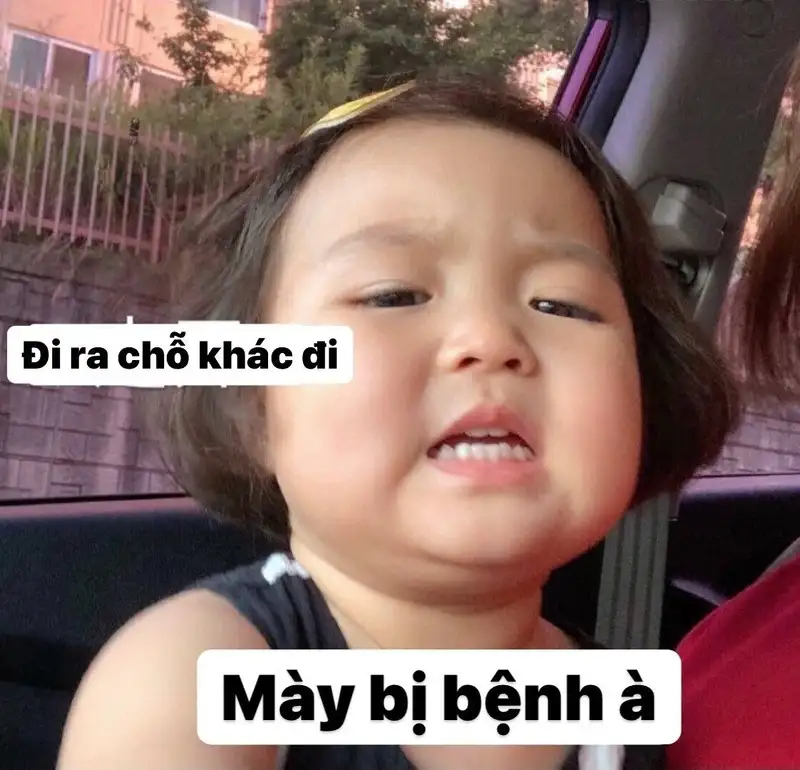 Ảnh chó cute meme giúp bạn thư giãn và cười thoải mái Ảnh chó cute meme giúp bạn thư giãn và cười thoải mái