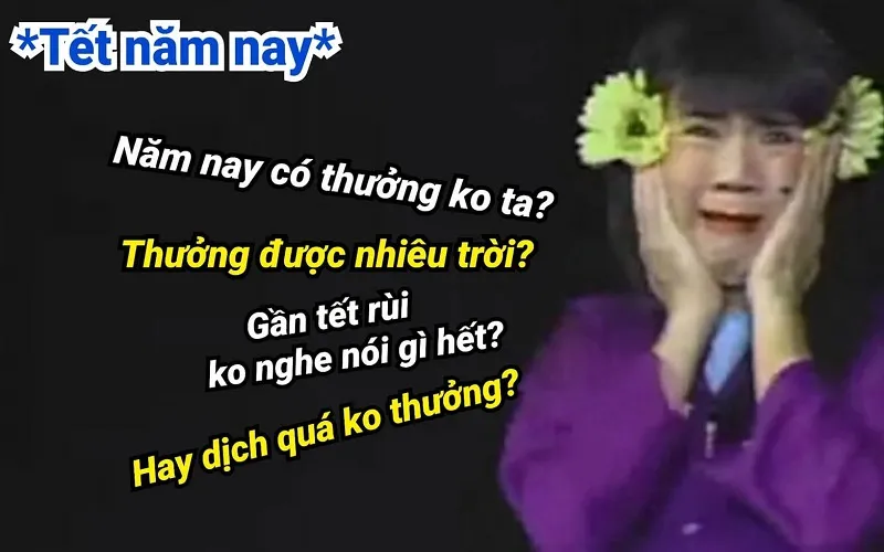 Jerry meme Tết luôn khiến người xem thích thú với sự hài hước Jerry meme Tết luôn khiến người xem thích thú với sự hài hước