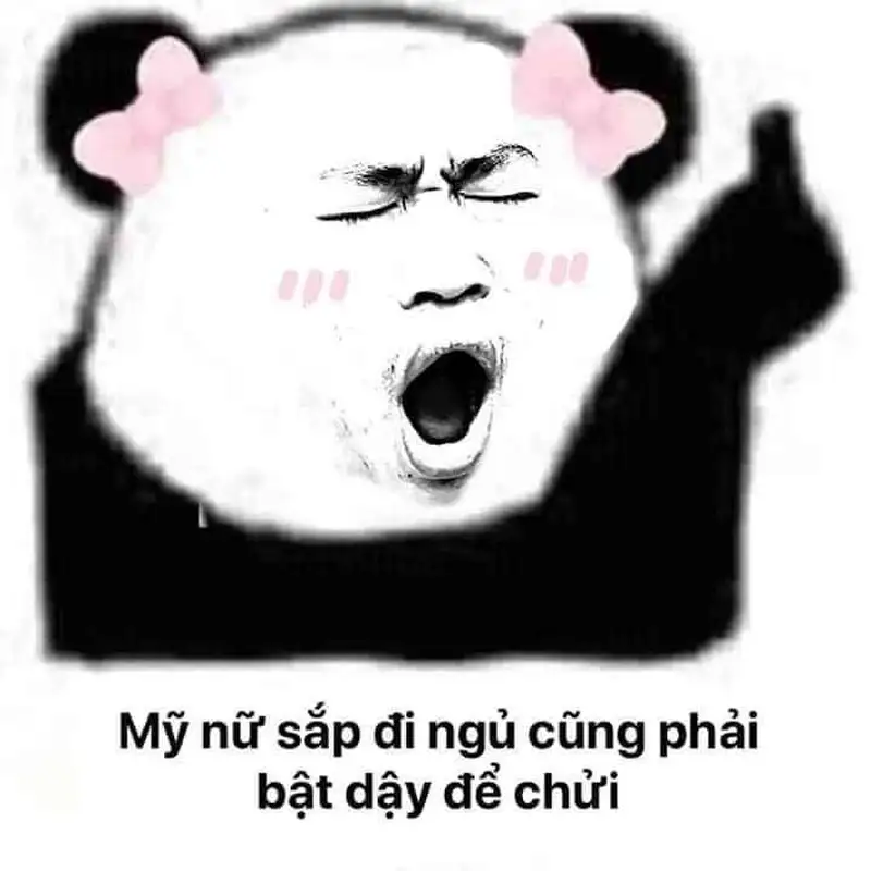 Meme mèo nằm ngủ thật dễ thương và đáng yêu Meme mèo nằm ngủ thật dễ thương và đáng yêu