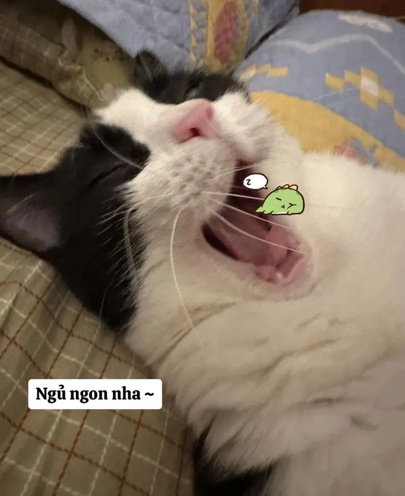 Meme em bé buồn ngủ thật dễ thương và đáng yêu Meme em bé buồn ngủ thật dễ thương và đáng yêu