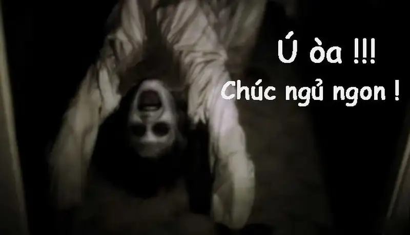 Mệt mỏi meme buồn ngủ thể hiện nỗi khổ của cuộc sống Mệt mỏi meme buồn ngủ thể hiện nỗi khổ của cuộc sống