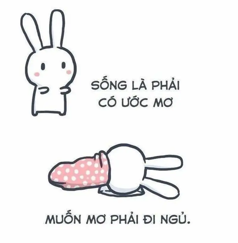 Ảnh meme chúc ngủ ngon gửi gắm lời chúc ấm áp Ảnh meme chúc ngủ ngon gửi gắm lời chúc ấm áp