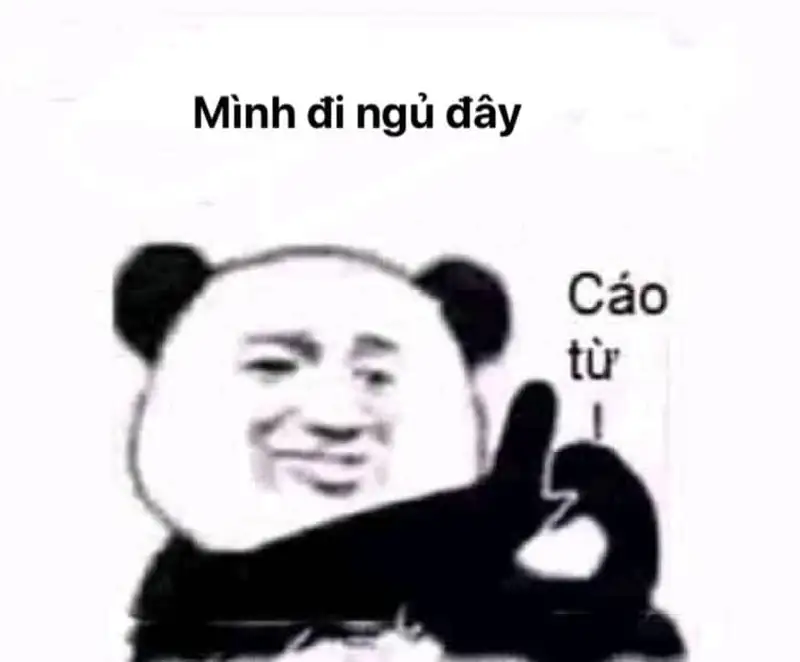 Ảnh chúc ngủ ngon meme khiến bạn cảm thấy dễ chịu Ảnh chúc ngủ ngon meme khiến bạn cảm thấy dễ chịu