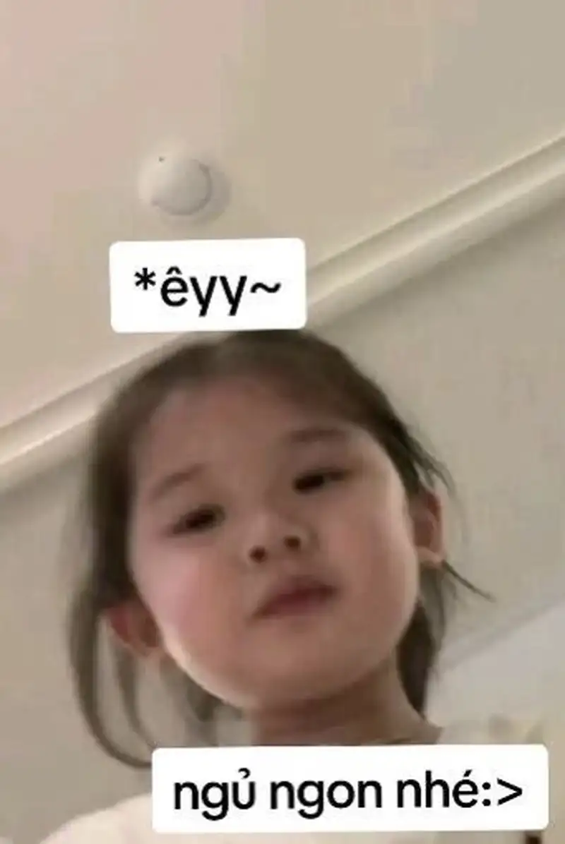 Meme đi ngủ cute khuyến khích bạn hãy nghỉ ngơi Meme đi ngủ cute khuyến khích bạn hãy nghỉ ngơi