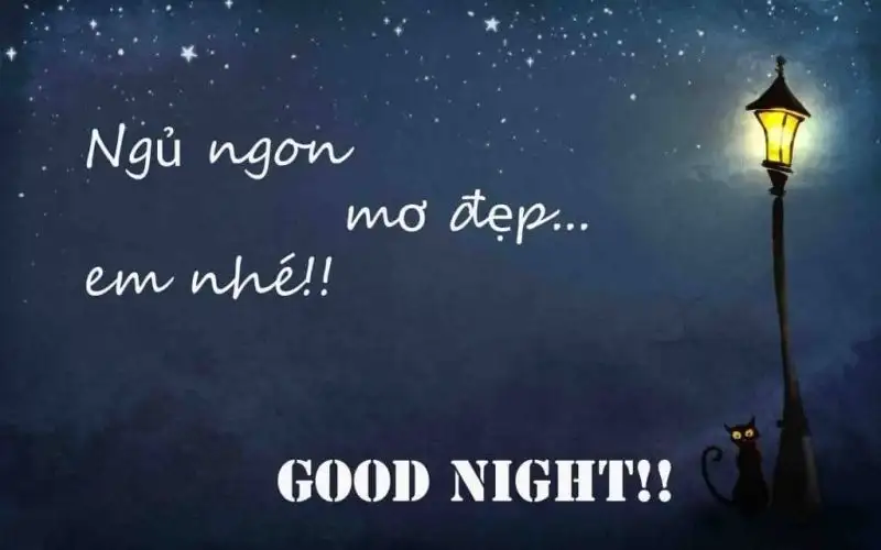 Chúc ngủ ngon meme gửi gắm lời chúc ấm áp Chúc ngủ ngon meme gửi gắm lời chúc ấm áp