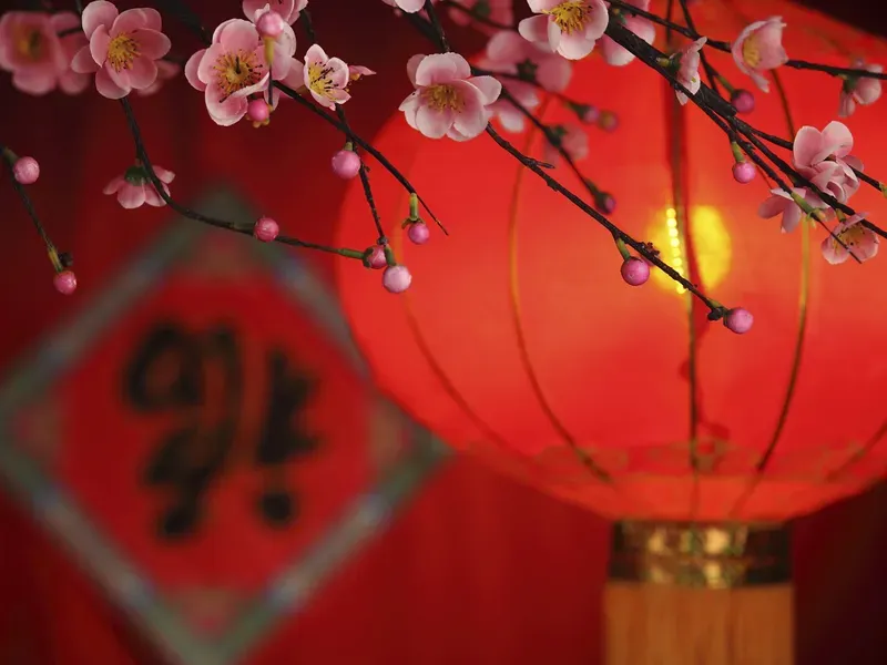 Avatar mèo Tết đánh bài hài hước sẽ khiến bạn bè cười không ngớt Avatar mèo Tết đánh bài hài hước sẽ khiến bạn bè cười không ngớt