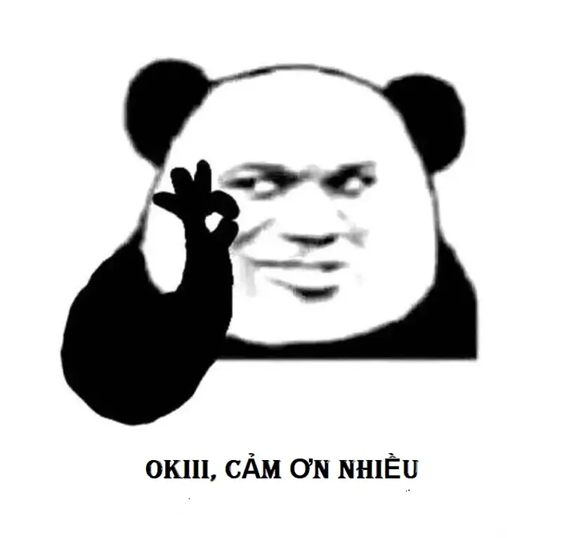 Cảm ơn meme mèo giúp bạn thể hiện lòng biết ơn một cách hài hước Cảm ơn meme mèo giúp bạn thể hiện lòng biết ơn một cách hài hước