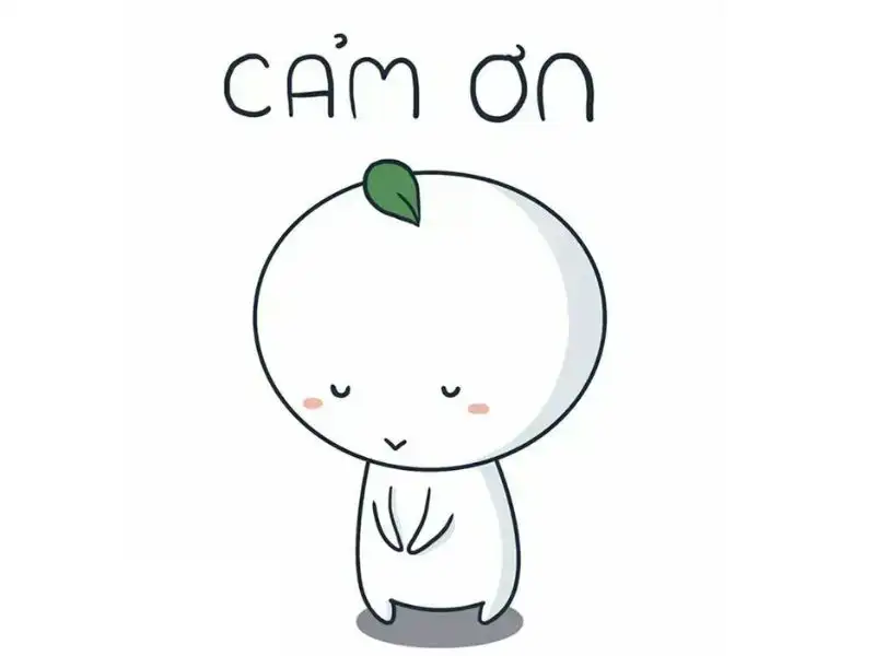Meme cảm ơn hài mang lại tiếng cười cho mọi người Meme cảm ơn hài mang lại tiếng cười cho mọi người