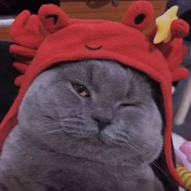 Avatar mèo cute ngầu thể hiện phong cách cá tính và độc đáo Avatar mèo cute ngầu thể hiện phong cách cá tính và độc đáo