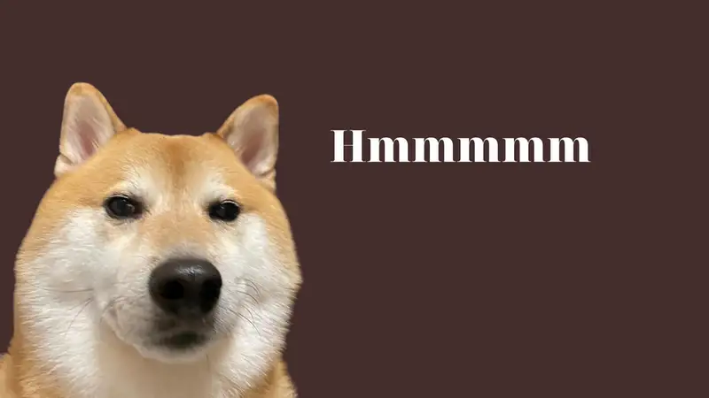 Chó shiba chibi cute giúp bạn thư giãn và cười thoải mái Chó shiba chibi cute giúp bạn thư giãn và cười thoải mái