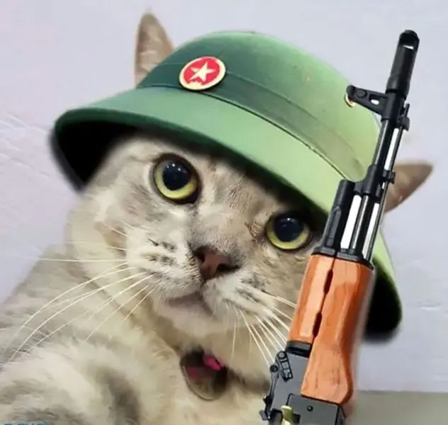 Meme này sẽ làm con tim bạn vui trở lại, xóa tan mệt mỏi Meme này sẽ làm con tim bạn vui trở lại, xóa tan mệt mỏi