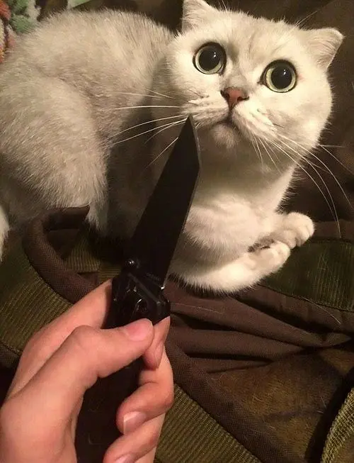 Bắt đầu ngày mới với một meme vui vẻ, nạp đầy năng lượng tích cực Bắt đầu ngày mới với một meme vui vẻ, nạp đầy năng lượng tích cực
