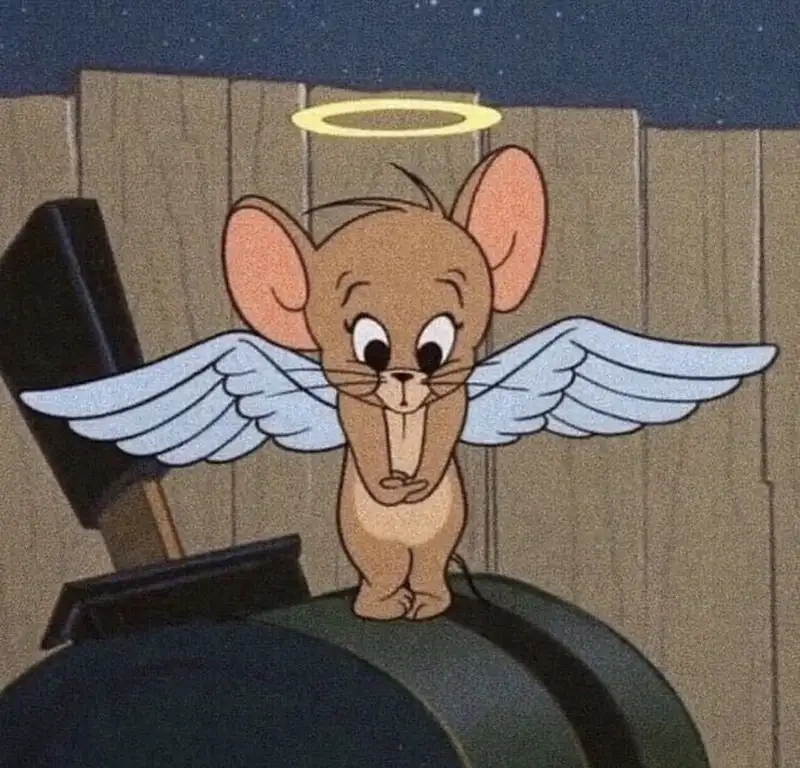 Ảnh meme tom và jerry mang lại những khoảnh khắc vui vẻ Ảnh meme tom và jerry mang lại những khoảnh khắc vui vẻ