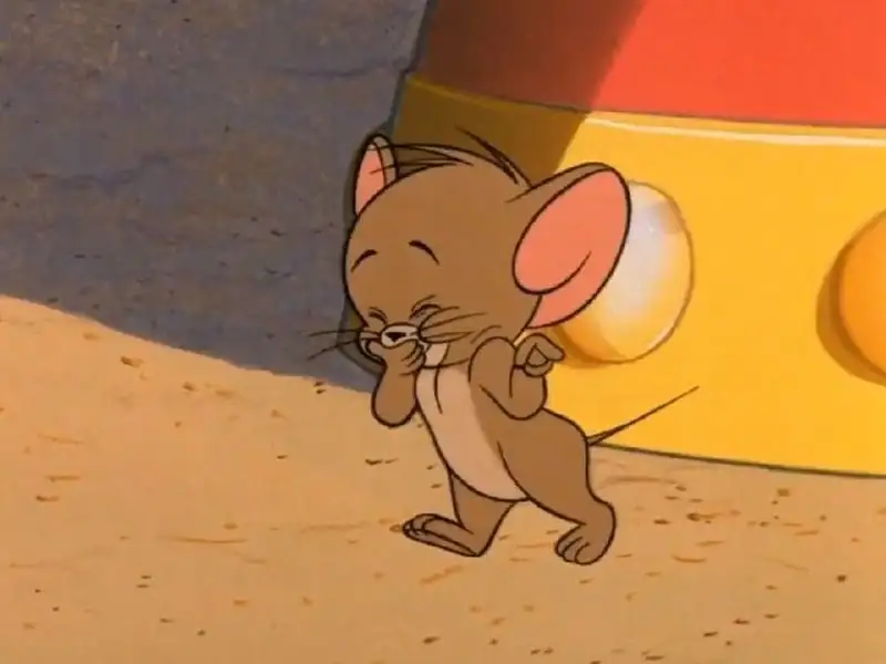 Meme jerry mặc váy cưới hài hước cho những ai thích sự bất ngờ Meme jerry mặc váy cưới hài hước cho những ai thích sự bất ngờ