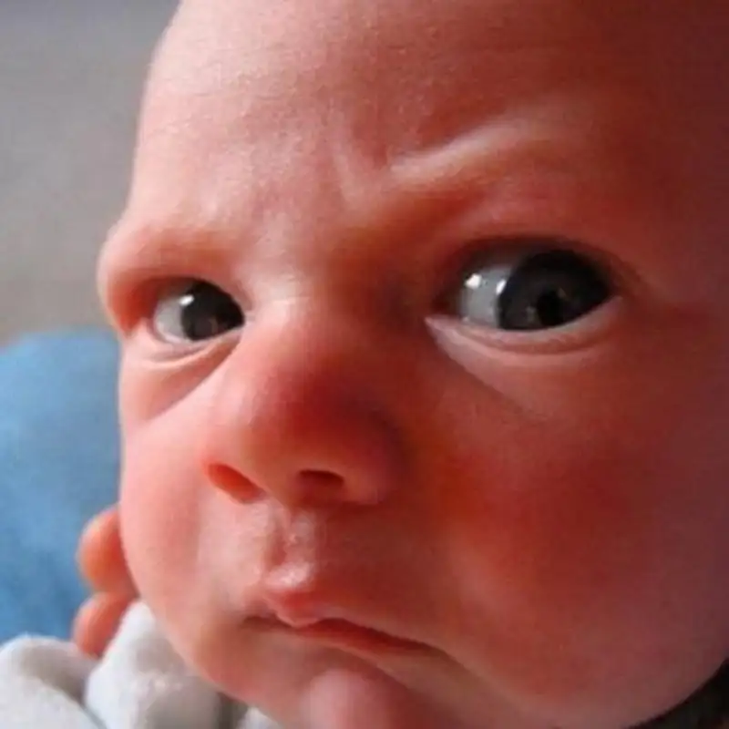 Ảnh meme em bé dễ thương giúp bạn thư giãn và cười thoải mái Ảnh meme em bé dễ thương giúp bạn thư giãn và cười thoải mái