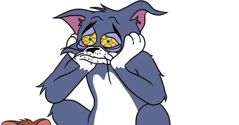 Tom and jerry face meme mang lại những kỷ niệm tuổi thơ Tom and jerry face meme mang lại những kỷ niệm tuổi thơ