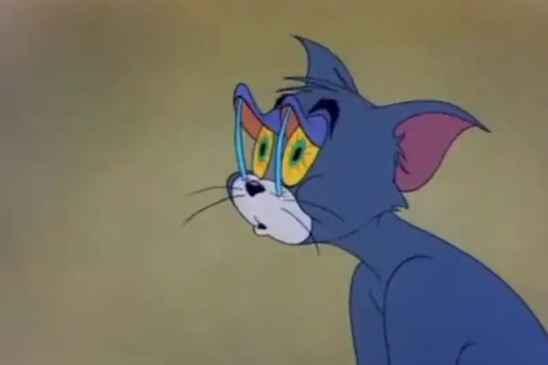 Tom meme face template giúp bạn tạo ra những meme độc đáo Tom meme face template giúp bạn tạo ra những meme độc đáo