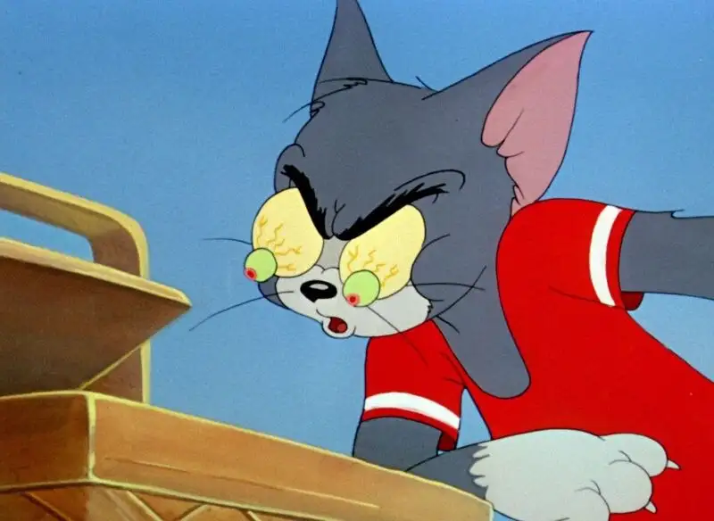 Mèo tom meme face dễ thương cho những ai yêu thích mèo Mèo tom meme face dễ thương cho những ai yêu thích mèo