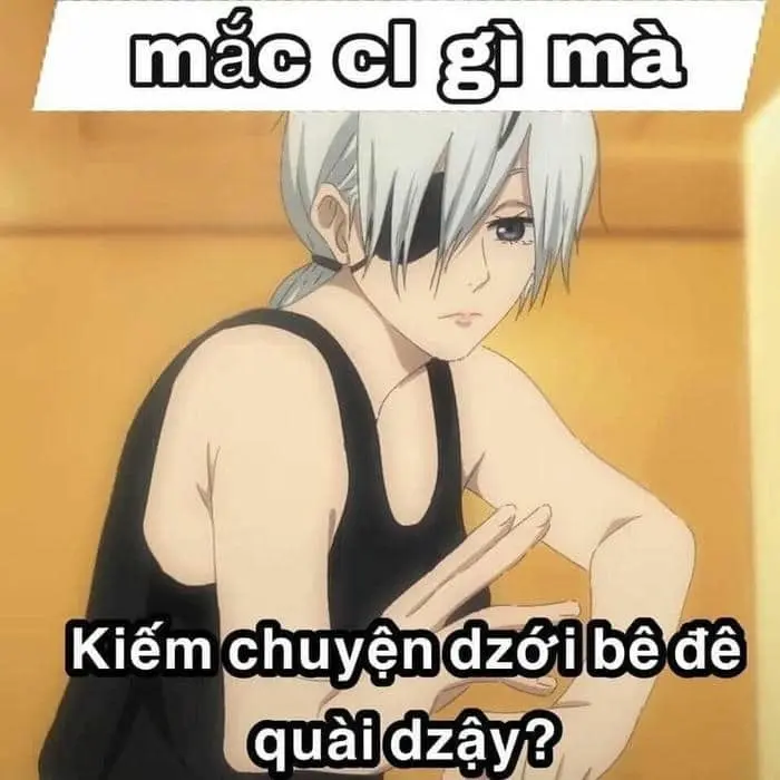 Meme gấu trúc chửi luôn khiến người xem thích thú Meme gấu trúc chửi luôn khiến người xem thích thú
