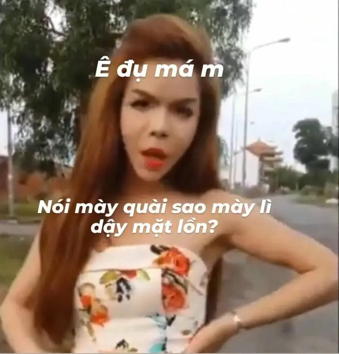 Ảnh meme chửi bạn mang đến những tiếng cười sảng khoái Ảnh meme chửi bạn mang đến những tiếng cười sảng khoái