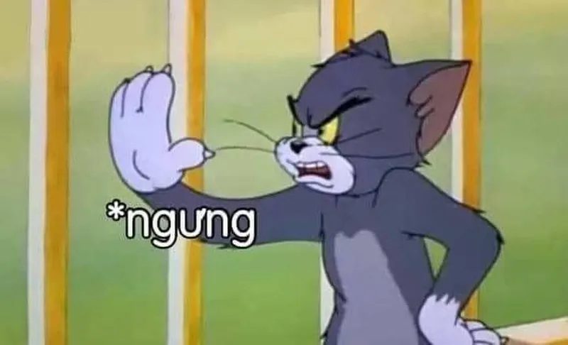 Meme mèo đánh nhau luôn tạo ra những khoảnh khắc đáng yêu Meme mèo đánh nhau luôn tạo ra những khoảnh khắc đáng yêu